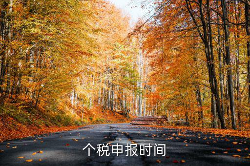 個人經(jīng)營所得稅什么時候申報，個人所得稅明細(xì)申報什么時候報