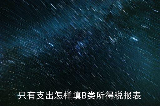 個(gè)人生產(chǎn)經(jīng)營(yíng)所得B表稅金填什么，只有支出怎樣填B類所得稅報(bào)表