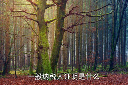 什么可以證明是一般納稅人，什么叫一般納稅人我如何辨別自己公司是否是一般納稅人