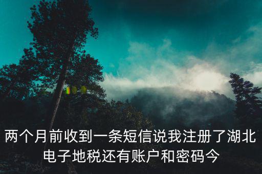 兩個(gè)月前收到一條短信說(shuō)我注冊(cè)了湖北電子地稅還有賬戶(hù)和密碼今
