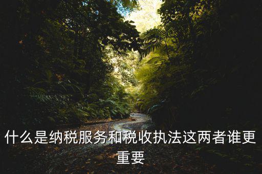 地稅納服是做什么，求助地稅納稅服務(wù)這個崗位有發(fā)展前景么