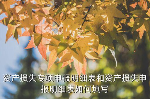 什么是專項(xiàng)資產(chǎn)損失申報(bào)表，所得稅申報(bào)表怎么填22資產(chǎn)損失