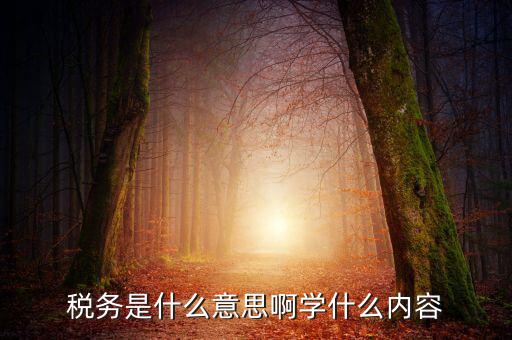 稅務中介是什么，稅務師事務所屬于什么行業(yè)