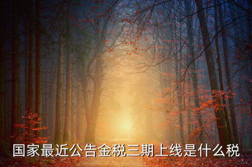 國(guó)家最近公告金稅三期上線(xiàn)是什么稅