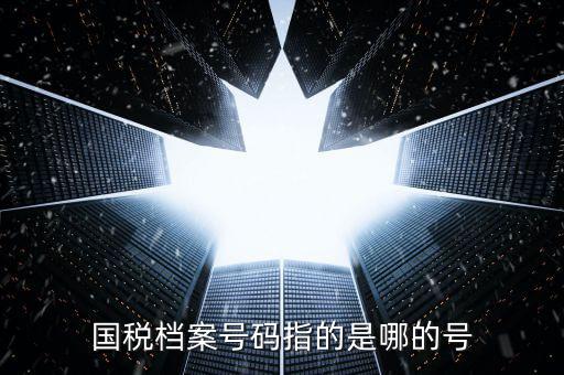 國稅號(hào)碼是什么，什么是國稅檔案號(hào)