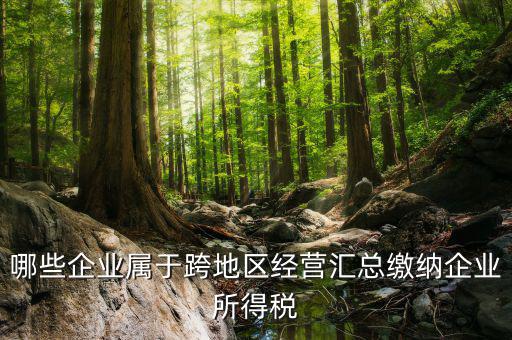 跨地區(qū)經(jīng)營匯總納稅指的是什么，哪些企業(yè)屬于跨地區(qū)經(jīng)營匯總繳納企業(yè)所得稅