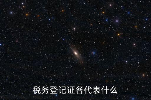 什么稅務(wù)登記證，什么是稅務(wù)登記證