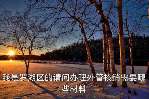 深圳外經(jīng)證核銷需要什么資料，我是羅湖區(qū)的請問辦理外管核銷需要哪些材料