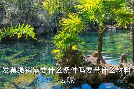 票證結(jié)報(bào)繳銷包括什么，去國(guó)稅局做稅票結(jié)報(bào)要帶哪些東西