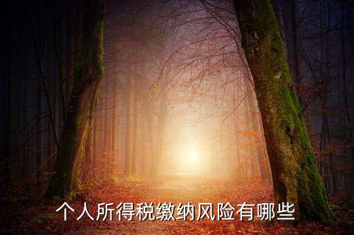 所得稅申報時有什么風(fēng)險提示，個人所得稅繳納風(fēng)險有哪些