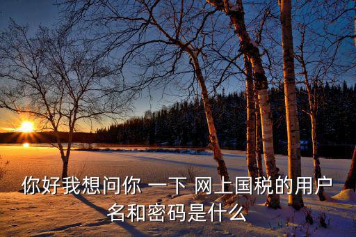 電子稅務(wù)的賬號(hào)密碼是什么，你好我想問(wèn)你 一下 網(wǎng)上國(guó)稅的用戶(hù)名和密碼是什么