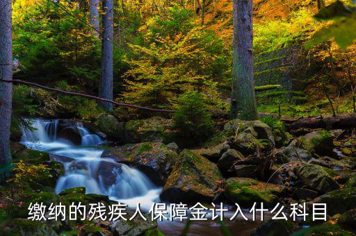 殘疾人就業(yè)保障金稅目是什么，殘疾人就業(yè)保障金應(yīng)計什么會計科目