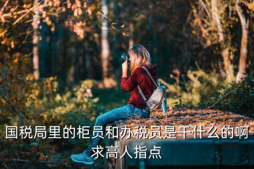 國稅局導稅員干什么的，國稅局里的柜員和辦稅員是干什么的啊求高人指點