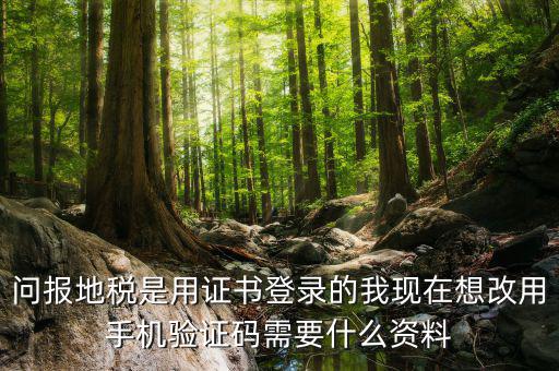湖南地稅什么叫證書登陸，地稅數(shù)字證書是什么