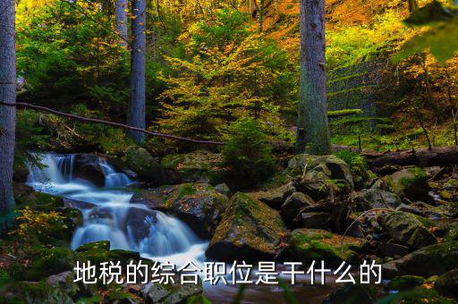 剛考進(jìn)地稅做什么工作，地稅的綜合職位是干什么的