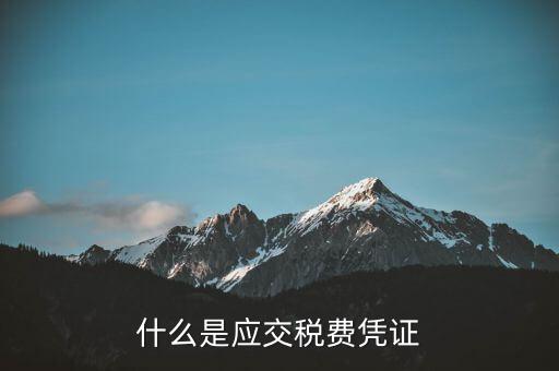 稅金憑證是什么意思，完稅證明什么意思