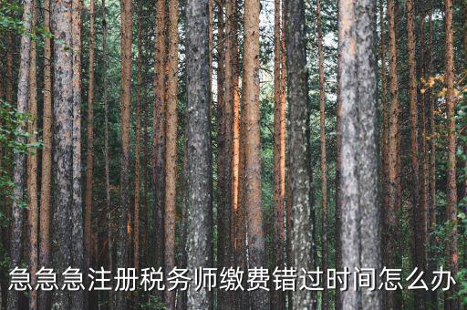 廣東省稅務(wù)師會(huì)費(fèi)什么時(shí)候交，廣州2013年的匯算清繳報(bào)告什么時(shí)候交