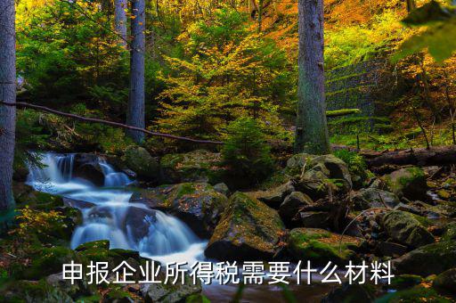 企業(yè)所得稅補(bǔ)申報(bào)需要什么，申報(bào)企業(yè)所得稅需要什么材料