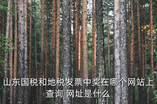 發(fā)票領(lǐng)用什么網(wǎng)站，誰(shuí)知道發(fā)票兌獎(jiǎng)上那個(gè)網(wǎng)站