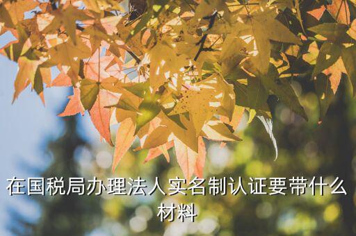實名制辦稅員辦理需要什么資料，辦稅員證要帶什么資料