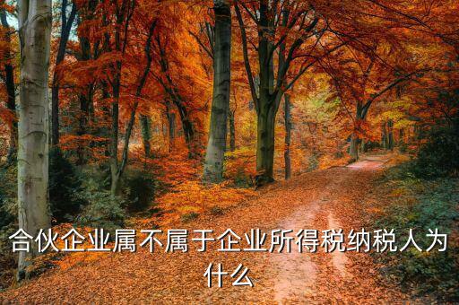 合伙企業(yè)為什么是個稅納稅人，合伙企業(yè)屬不屬于企業(yè)所得稅納稅人為什么