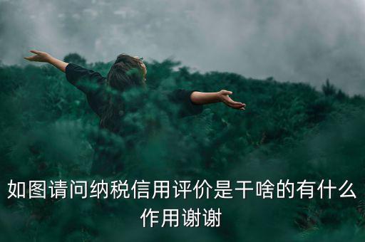 如圖請問納稅信用評(píng)價(jià)是干啥的有什么作用謝謝