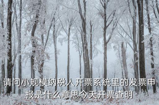 開票申報是什么原因，納稅申報出現(xiàn)的問題高手來解