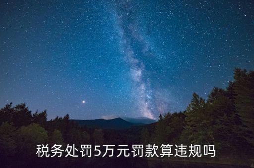 稅務(wù)重大違規(guī)是指什么，登錄國稅國稅的違章信息是什么意思