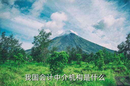 什么是涉稅中介機(jī)構(gòu)，我國會計(jì)中介機(jī)構(gòu)是什么