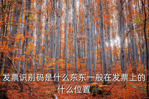河北發(fā)票識(shí)別碼是什么意思，發(fā)票的識(shí)別碼是不是繳稅單位的稅號(hào)