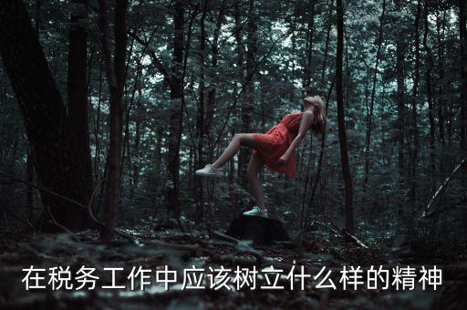 中國(guó)稅務(wù)精神是什么2018，在稅務(wù)工作中應(yīng)該樹(shù)立什么樣的精神