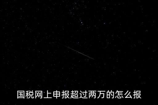 國稅網(wǎng)報入口是什么，怎樣才能進入小規(guī)模納稅人增值稅網(wǎng)上申報系統(tǒng)
