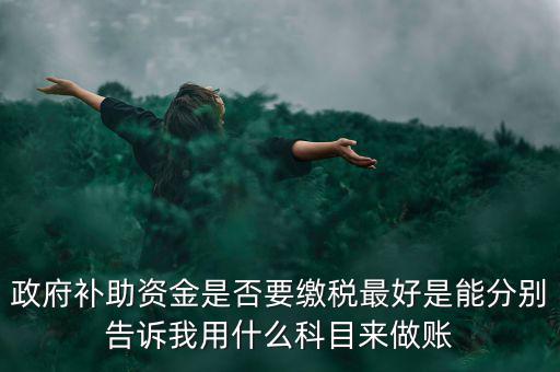 政府補(bǔ)貼交什么稅，關(guān)于政府補(bǔ)助的納稅問題 請高手來回答啊 謝謝