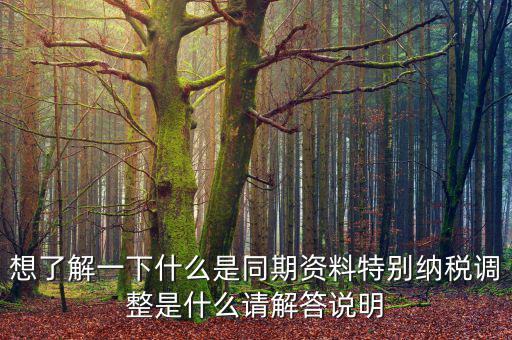 關(guān)聯(lián)申報同期資料是什么，想了解一下什么是同期資料特別納稅調(diào)整是什么請解答說明