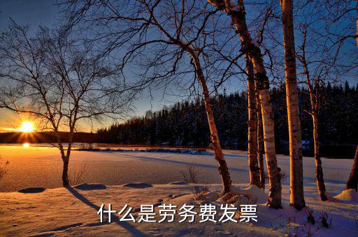 勞務費發(fā)票是什么發(fā)票，什么是勞務費發(fā)票