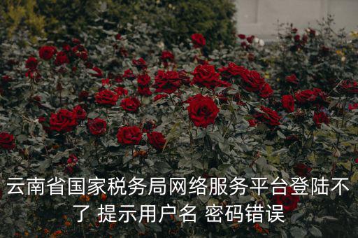 云南稅控服務平臺的網址是什么，云南國稅開票系統網址