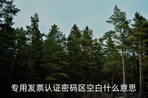 河南發(fā)票密碼是什么意思，專用發(fā)票認證密碼區(qū)空白什么意思