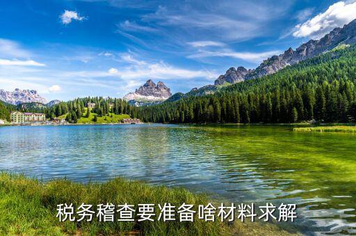 稅收調(diào)查需要什么資料，稅務檢查調(diào)閱企業(yè)會計資料需要辦理什么手續(xù)