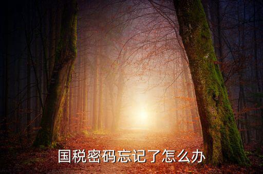 國稅局重置密碼需要帶什么資料，國稅修改過登錄密碼 又忘記了怎么辦