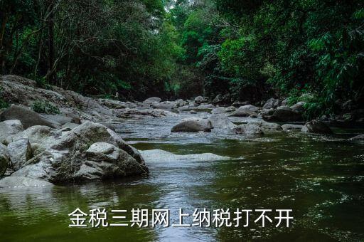 金稅門戶為什么打不開，金稅三期網(wǎng)上納稅打不開