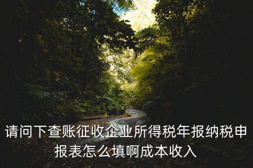 企業(yè)所得稅申報查賬是什么表，剛注冊了一個小規(guī)模的公司企業(yè)所得稅是查帳征收企業(yè)所得稅報表