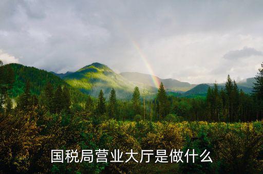 國稅局大廳工作是什么，國稅大廳咨詢?nèi)藛T具體是做什么工作的