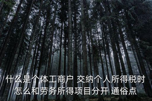 什么叫個(gè)體工商戶經(jīng)營(yíng)所得，個(gè)體工商戶的生產(chǎn)經(jīng)營(yíng)所得是指什么