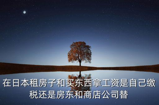 日本租稅法是什么稅，在日本租房子和買東西拿工資是自己繳稅還是房東和商店公司替