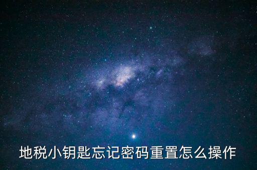 地稅密碼重置需要什么，地稅網(wǎng)上納稅申報密碼忘記了