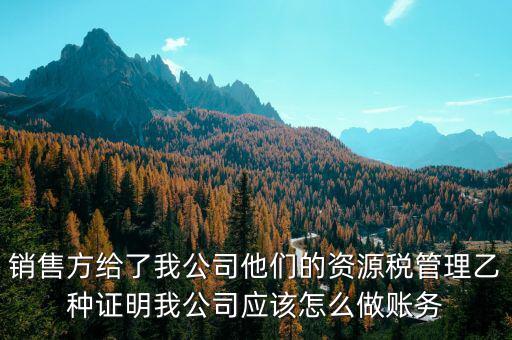 什么叫資源稅甲乙種證明，銷售方給了我公司他們的資源稅管理乙種證明我公司應(yīng)該怎么做賬務(wù)