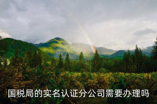 四川國稅局實名認(rèn)證需要什么手續(xù)，在國稅局辦理法人實名制認(rèn)證要帶什么材料