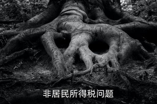有什么是非居民企業(yè)，個私企業(yè)的范圍除了個體戶還包括哪些性質(zhì)的企業(yè)