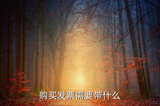 長(zhǎng)春購(gòu)置發(fā)票需要什么資料，初次購(gòu)買發(fā)票要什么資料