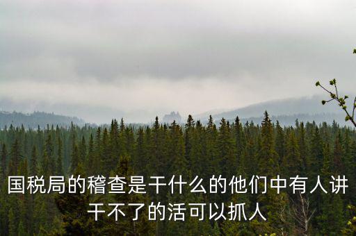 國稅局查什么的，國稅局的稽查是干什么的他們中有人講干不了的活可以抓人